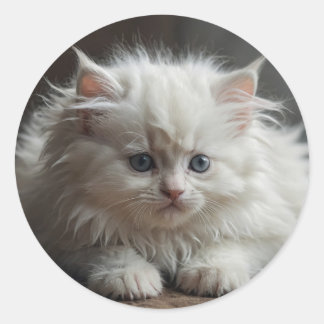 Pegatinas de Gatos