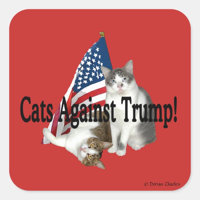 pegatinas de "Gatos contra Trump" (Anverso)