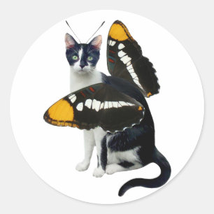 Pegatinas de gatos de mariposa