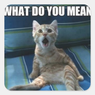 Pegatinas de gatos divertidos