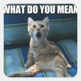 Pegatinas de gatos divertidos