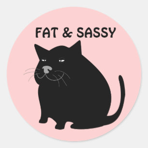 Pegatinas de gatos grasos y salados