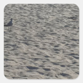 Pegatinas de Gaviota