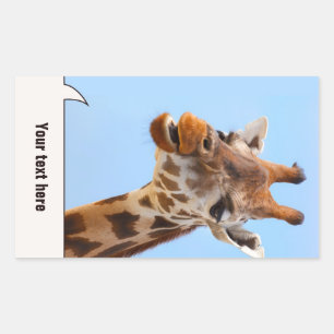 Pegatinas de Giraffe Portrait