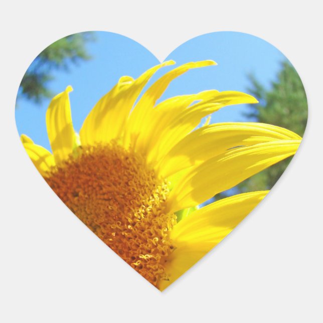 Pegatinas de girasoles Sellos de invitación Corazó (Anverso)