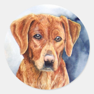 Pegatinas de Golden Retriever