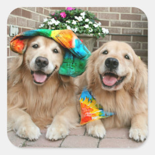 Pegatinas de Golden Retriever Groovy