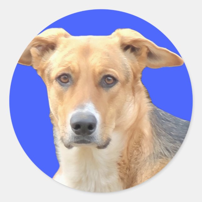 Pegatinas de Good Dog (Anverso)