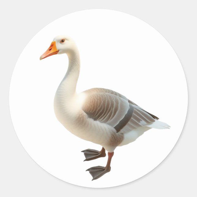 Pegatinas de Goose (Anverso)