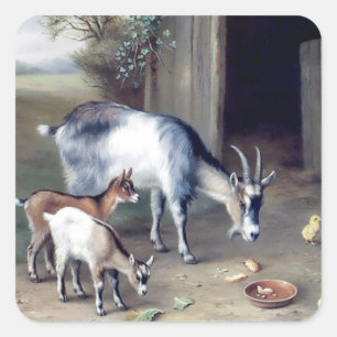 Pegatinas de granja de cabras y gallinas