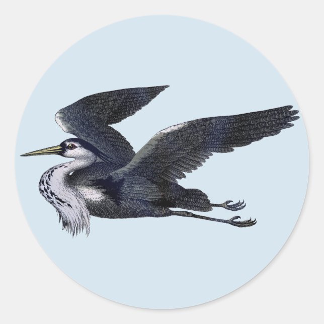 Pegatinas de Gray Heron (Anverso)
