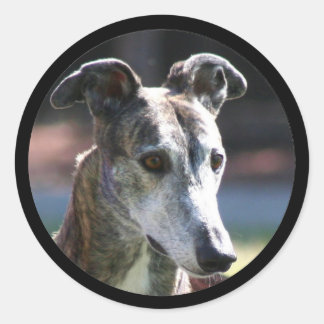Pegatinas de Greyhound
