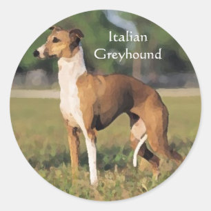 Pegatinas de Greyhound de Italia