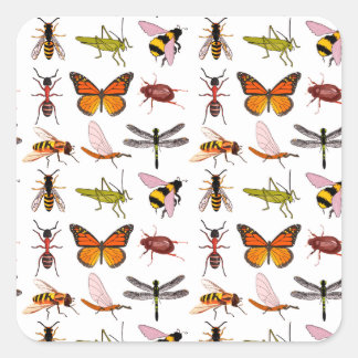 PEGATINAS de GUAY INSECT SQUARE personalizable