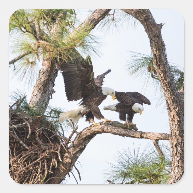 Pegatinas de H y M (Anverso)