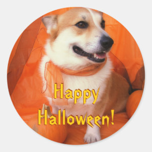 Pegatinas de Halloween Corgi