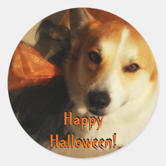 Pegatinas de Halloween Corgi