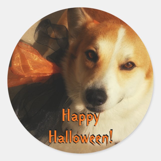 Pegatinas de Halloween Corgi (Anverso)