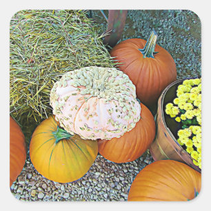 Pegatinas de Halloween de las calabazas y de la