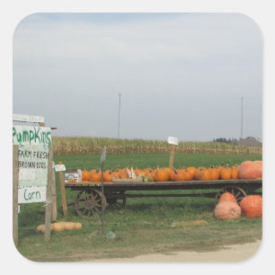 Pegatinas de Halloween de otoño con parche de cala