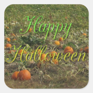 Pegatinas de Halloween del otoño de la caída del