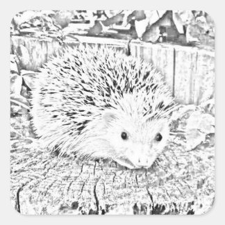 Pegatinas de Hedgehog