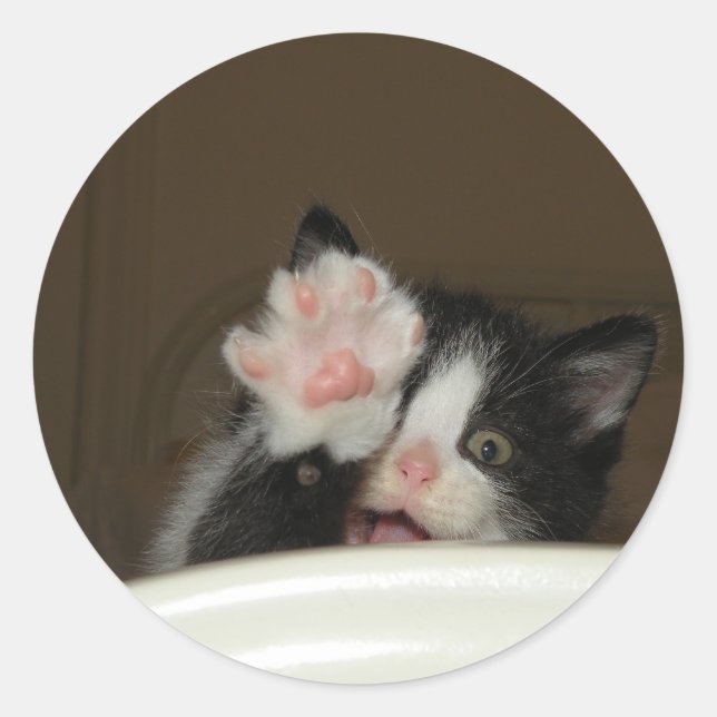 pegatinas de "Hi" Kitten (Anverso)