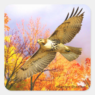 pegatinas de "High Flyer"