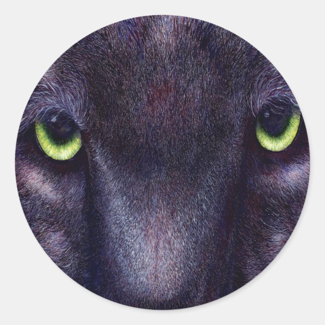 Pegatinas de Hiptnotist (Anverso)