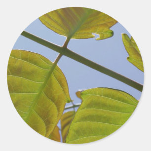 Pegatinas de hoja