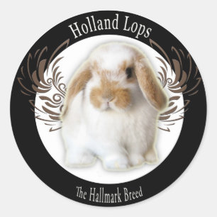 Pegatinas de Holanda Lop