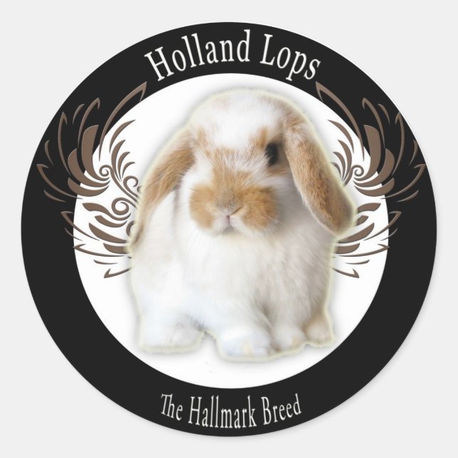 Pegatinas de Holland Lop (Anverso)