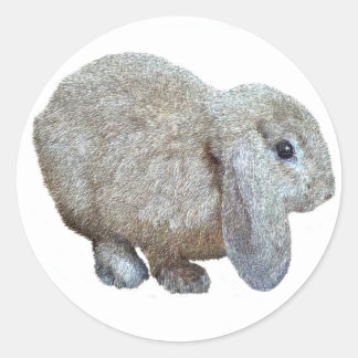 Pegatinas de Holland Lop Ear Rabbit