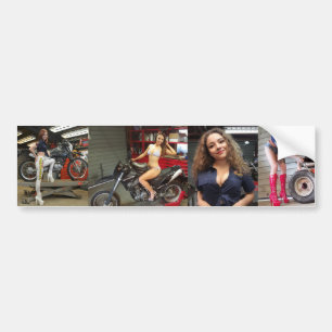 Pegatinas de Holley, Harley, Jade & Lilli Toolbox