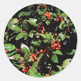 Pegatinas de Holly y Berries