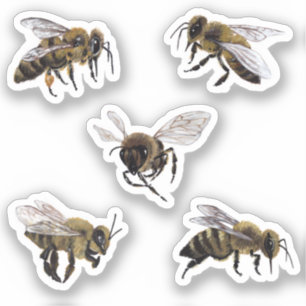 Pegatinas de Honey Bees Vinyl