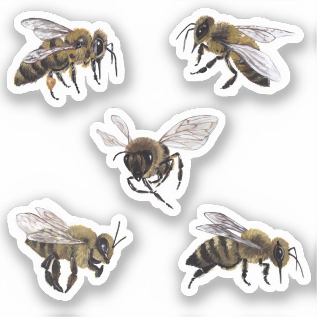Pegatinas de Honey Bees Vinyl (Anverso)