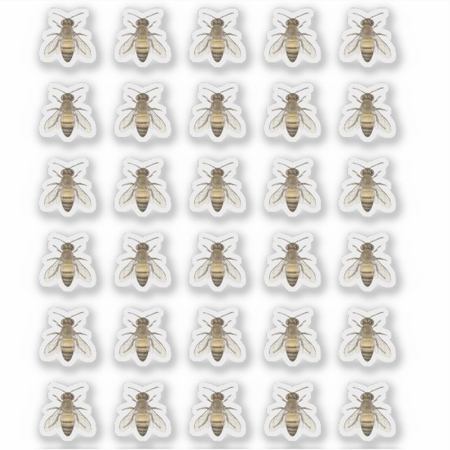 Pegatinas de Honeybee Beekeeper (Anverso)
