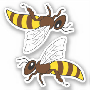 Pegatinas de Honeybee Vinyl