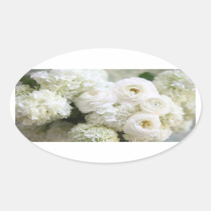 pegatinas de hortenas blancas y ovales ranunculus