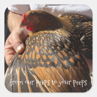 Pegatinas de huevos frescos