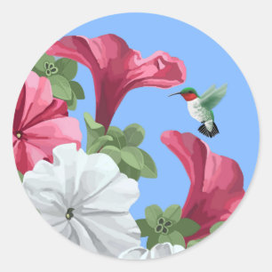 Pegatinas de Hummingbird