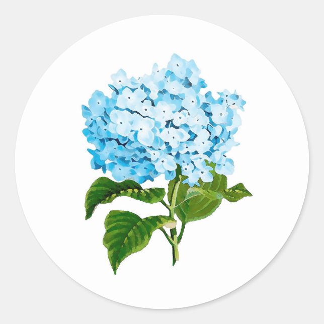Pegatinas de Hydrangea Azul (Anverso)
