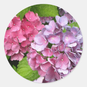 Pegatinas de Hydrangea Floral