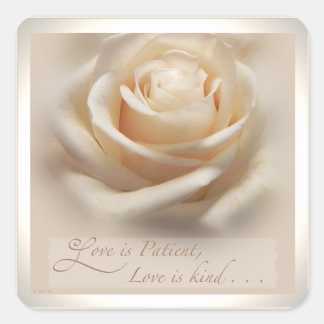 pegatinas de "Ivory Rosa Love is Patient", Plaza (Anverso)