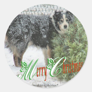 Pegatinas de JeepersMC