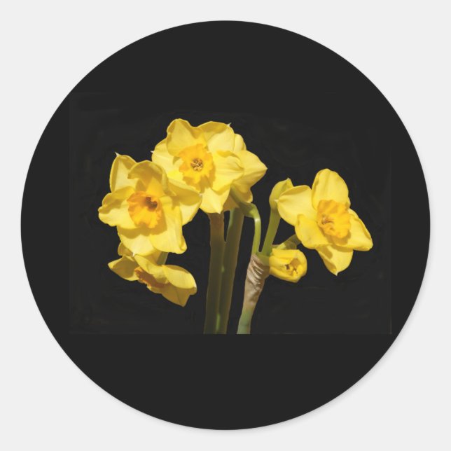 Pegatinas de Jonquil Flowers (Anverso)