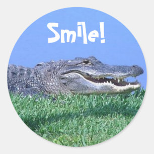 Pegatinas de Jungle Jewels