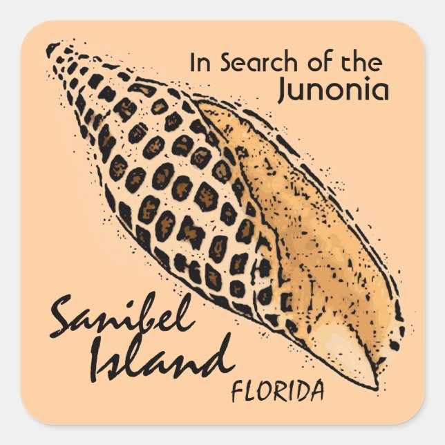 Pegatinas de Junonia shell de Sanibel Island Flori (Anverso)
