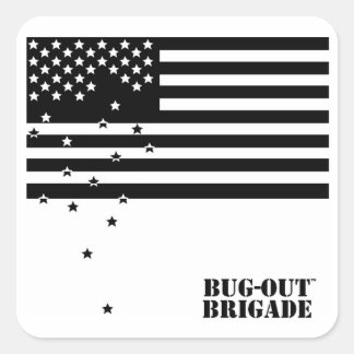 PEGATINAS de la brigada BUG OUT Falling Stars